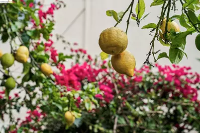 1206 22nd St, Oakland, CA 94606 - Photo 43