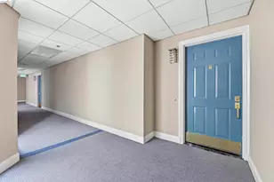 535 Pierce, Albany, CA 94706 - Photo 37