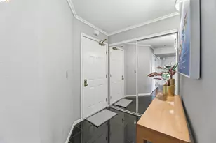 535 Pierce, Albany, CA 94706 - Photo 29