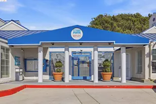 535 Pierce, Albany, CA 94706 - Photo 35