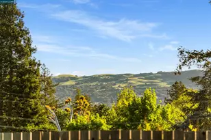 262 Via Cima Ct, Danville, CA 94526 - Photo 53