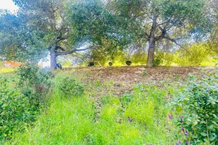 161 Seaway Ct, Hercules, CA 94547 - Photo 53