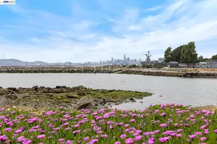 312 Tideway Dr, Alameda, CA 94501 - Photo 51