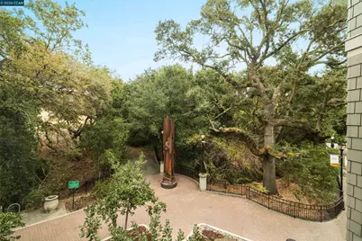 1000 Dewing Ave #210, Lafayette, CA 94549 - Photo 31