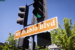 1000 Dewing Ave, Lafayette, CA 94549 - Photo 45