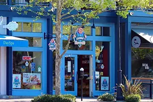 1000 Dewing Ave, Lafayette, CA 94549 - Photo 29