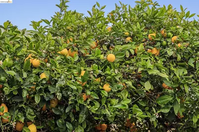 1920 Bradhoff Ave, San Leandro, CA 94577 - Photo 29