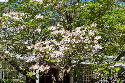 1193 Glen Dr., San Leandro, CA 94577 - Photo 43