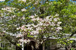 1193 Glen Dr, San Leandro, CA 94577 - Photo 43