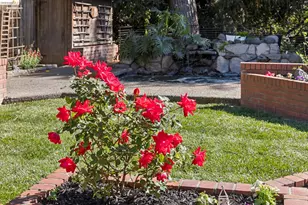 1193 Glen Dr, San Leandro, CA 94577 - Photo 35