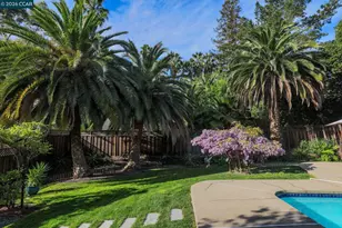 1331 Springbrook Rd, Walnut Creek, CA 94597 - Photo 3