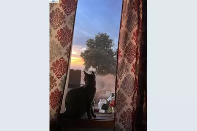 3820 Prussian Hill Rd., Wilseyville, CA 95248 - Photo 5