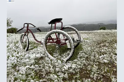 3820 Prussian Hill Rd., Wilseyville, CA 95248 - Photo 3