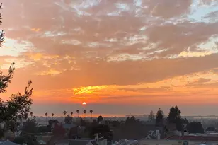 2634 Virginia St, Berkeley, CA 94709 - Photo 23