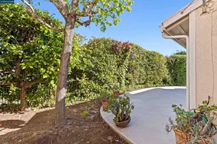 1097 Camino Verde Cir, Walnut Creek, CA 94597 - Photo 37