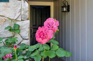 736 Twinview Pl, Pleasant Hill, CA 94523 - Photo 59