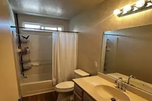 15055 Hollyhock Ct, Lathrop, CA 95330 - Photo 11