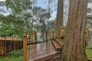 18 North Cir, Oakland, CA 94611 - Photo 53