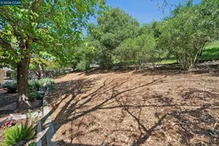 169 Natalie Dr, Moraga, CA 94556 - Photo 39