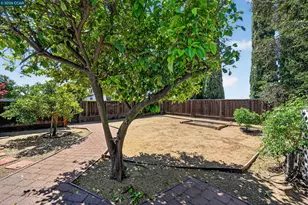 139 Loren Ln, Oakley, CA 94561 - Photo 57