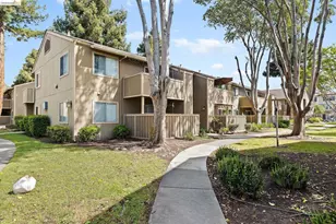 3291 Foxtail, Fremont, CA 94536 - Photo 5