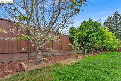 3078 San Fernando Way, Union City, CA 94587 - Photo 41