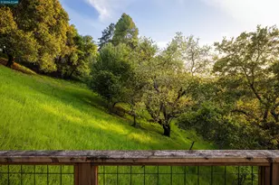 5 Wanda Ln, Orinda, CA 94563 - Photo 13