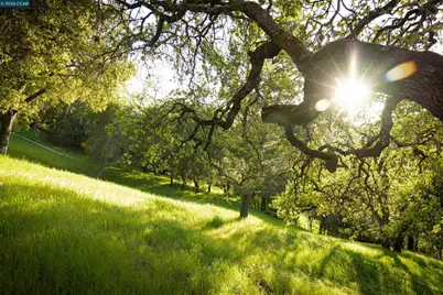 5 Wanda Ln, Orinda, CA 94563 - Photo 21