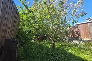 1345 53rd Ave, Oakland, CA 94601 - Photo 27