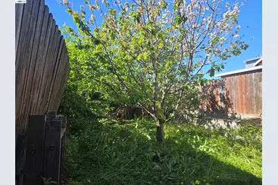 1345 53rd Ave, Oakland, CA 94601 - Photo 29