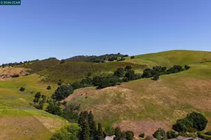 599 Timberleaf Ct, Walnut Creek, CA 94598 - Photo 51