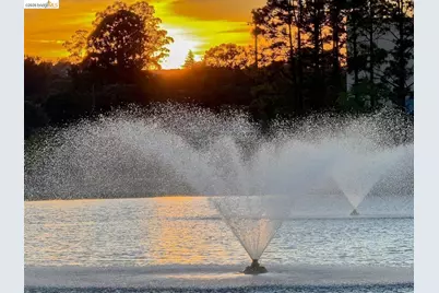 319 San Pedro Rd, San Rafael, CA 94903 - Photo 57