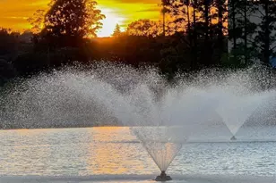 319 San Pedro Rd, San Rafael, CA 94903 - Photo 57