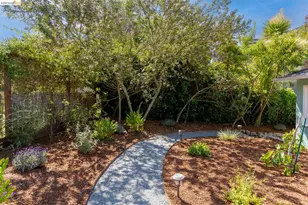 49 Windsor Ave, Kensington, CA 94708 - Photo 41