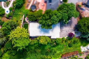 11 Dale Ct, Lafayette, CA 94595 - Photo 51