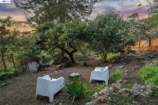 491 Vincente Ave, Berkeley, CA 94707 - Photo 9