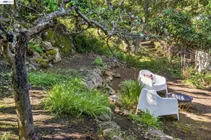 491 Vincente Ave, Berkeley, CA 94707 - Photo 37