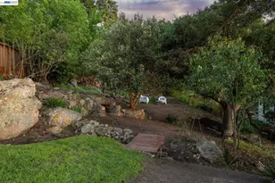 491 Vincente Ave, Berkeley, CA 94707 - Photo 55