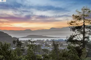 491 Vincente Ave, Berkeley, CA 94707 - Photo 3