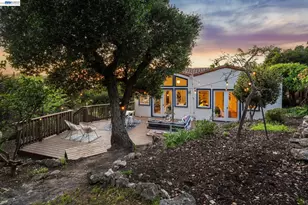 491 Vincente Ave, Berkeley, CA 94707 - Photo 53