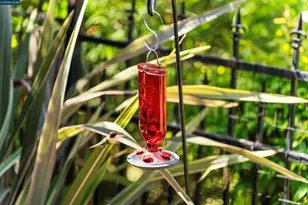 525 Silver Oak Ln, Danville, CA 94506 - Photo 37