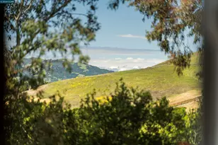 525 Silver Oak Ln, Danville, CA 94506 - Photo 41