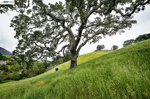 6115 Morgan Territory Rd, Clayton, CA 94517 - Photo 45