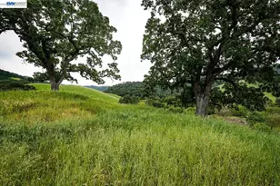 6115 Morgan Territory Rd, Clayton, CA 94517 - Photo 39