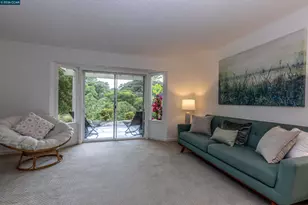 3152 Ptarmigan Dr, Walnut Creek, CA 94595 - Photo 15