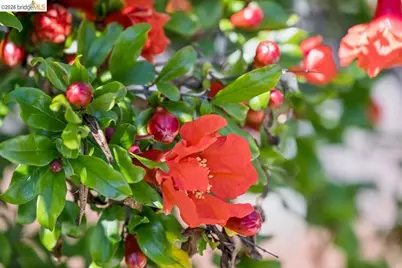 1516 Merced St, Richmond, CA 94804 - Photo 27