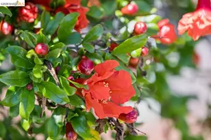 1516 Merced St, Richmond, CA 94804 - Photo 27