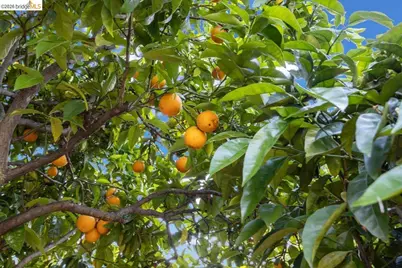 2201 Coloma St., Oakland, CA 94602 - Photo 37