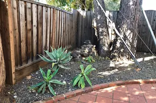 21 Waverley Ct, Menlo Park, CA 94025 - Photo 21