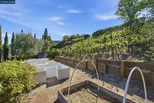 91 Shuey Dr, Moraga, CA 94556 - Photo 29